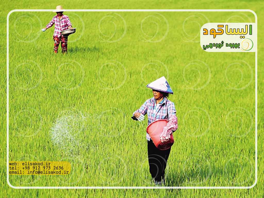 آنچه باید از سولفات آمونیوم کشاورزی بدانید