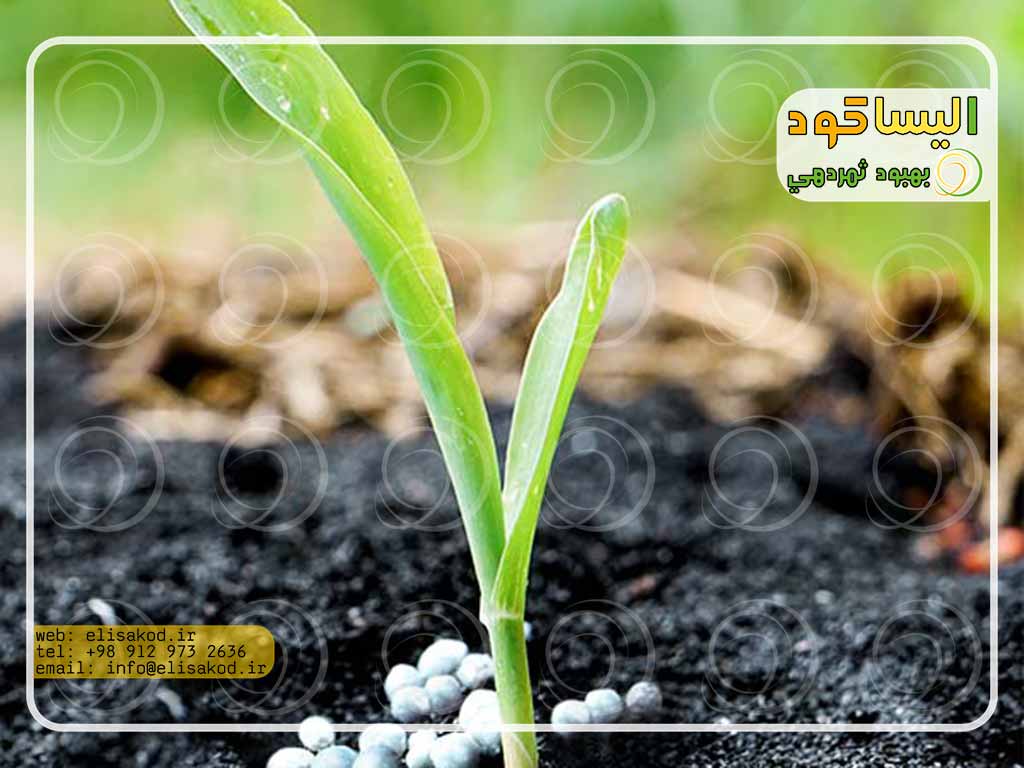قیمت انواع کود آمونیوم شیراز