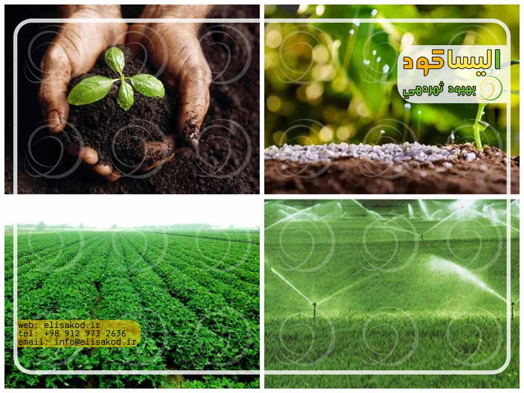 فروش کود سولفامون