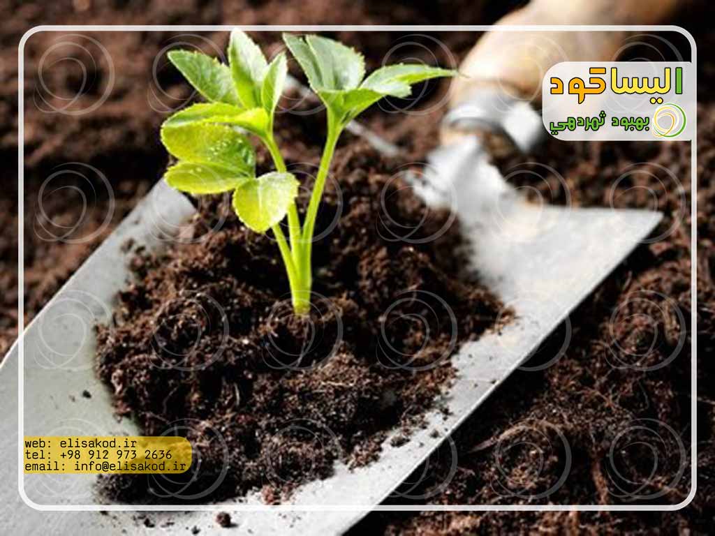 کودهای نانو در بخش کشاورزی