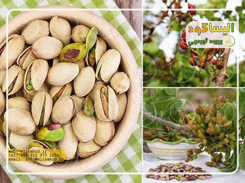 سولفات آمونیوم برای پسته