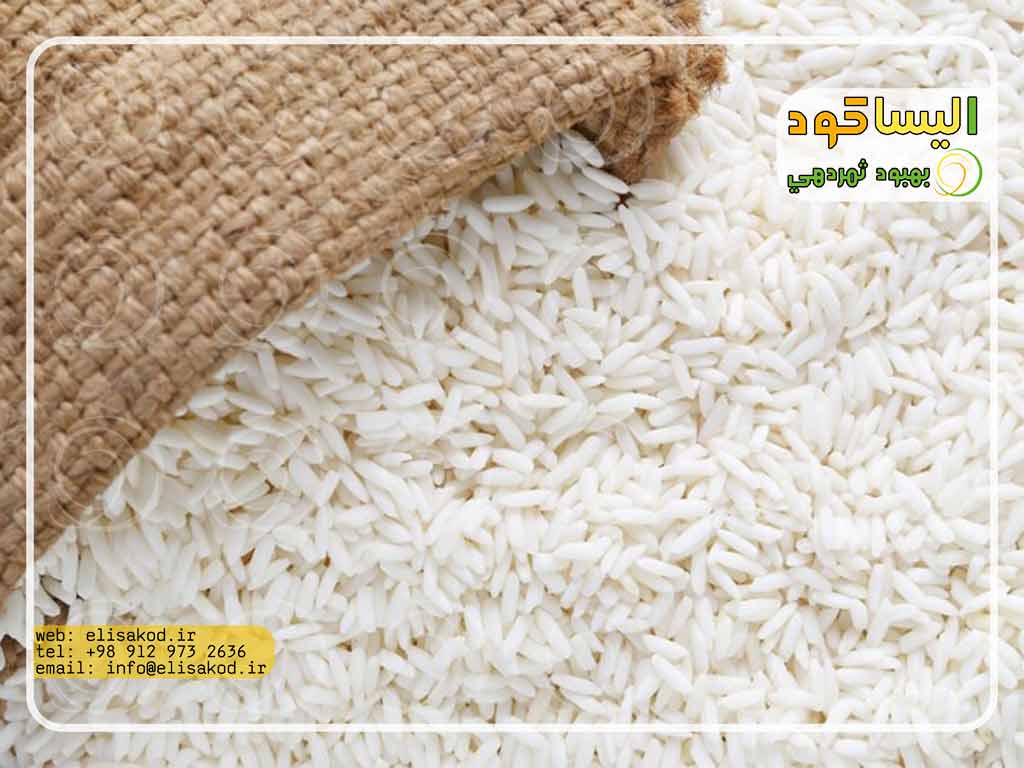 استفاده از سولفات آمونیوم در شالیزارهای کشت برنج