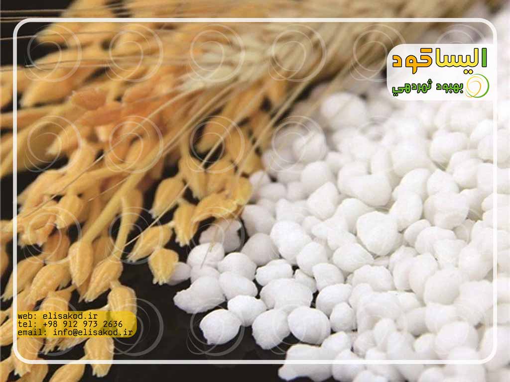 صادر کنندگان سولفات