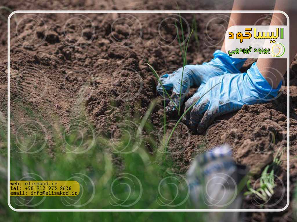 کاربرد سولفات آمونیوم