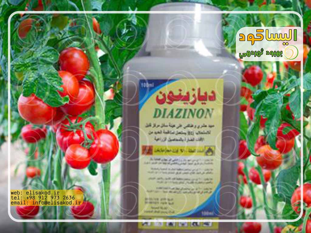 زمان مصرف سم دیازینون