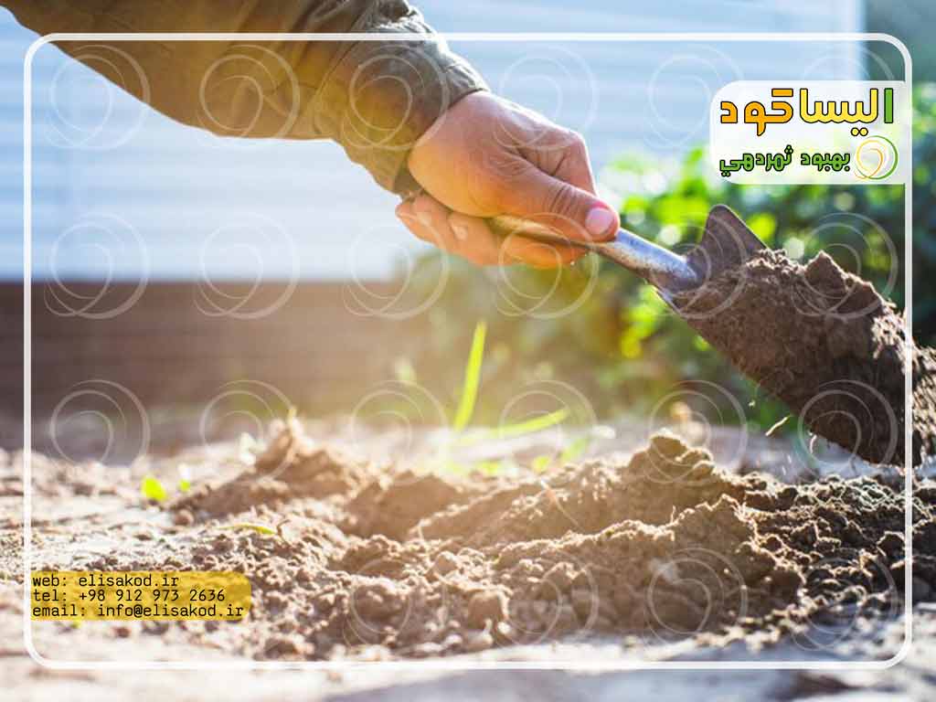 کاربرد کود سولفات آمونیوم