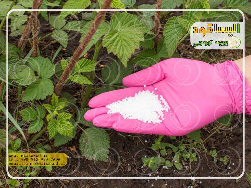 کود سولفات گرانول