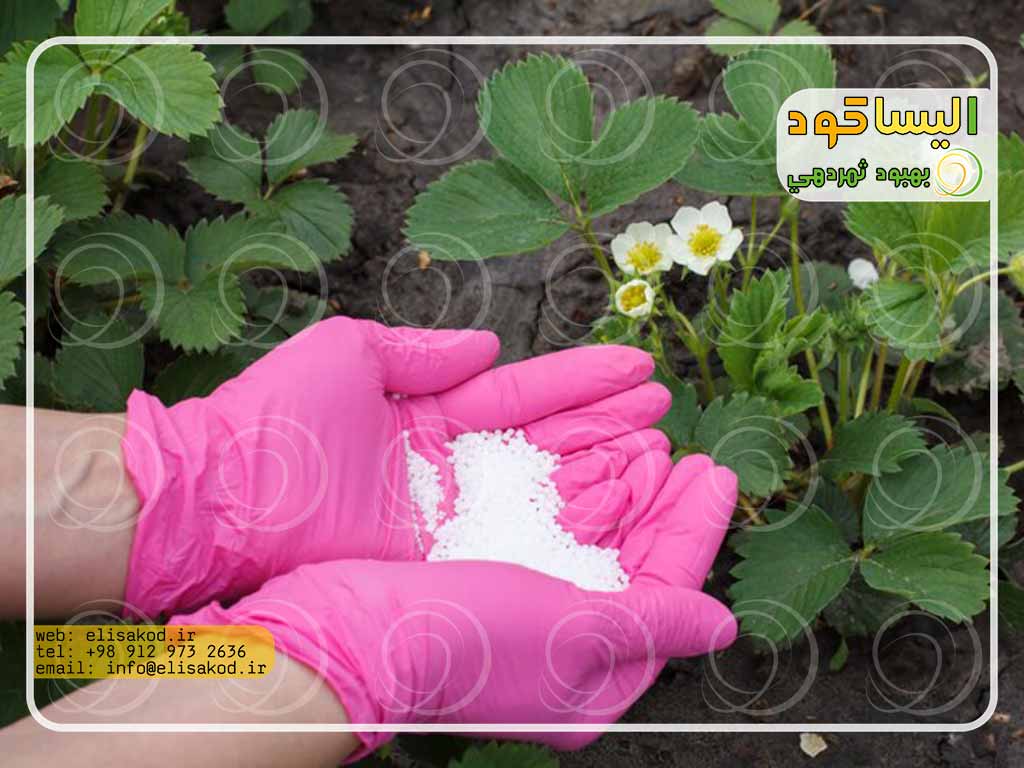 سولفات آمونیوم گرانول