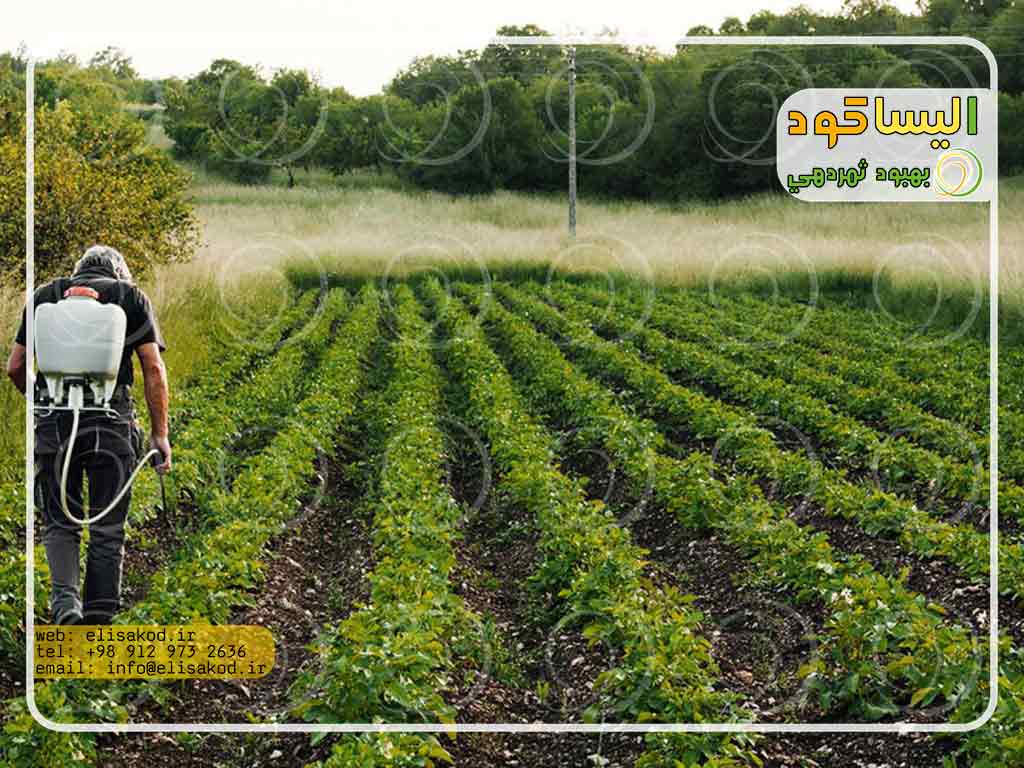 کود مایع نانو