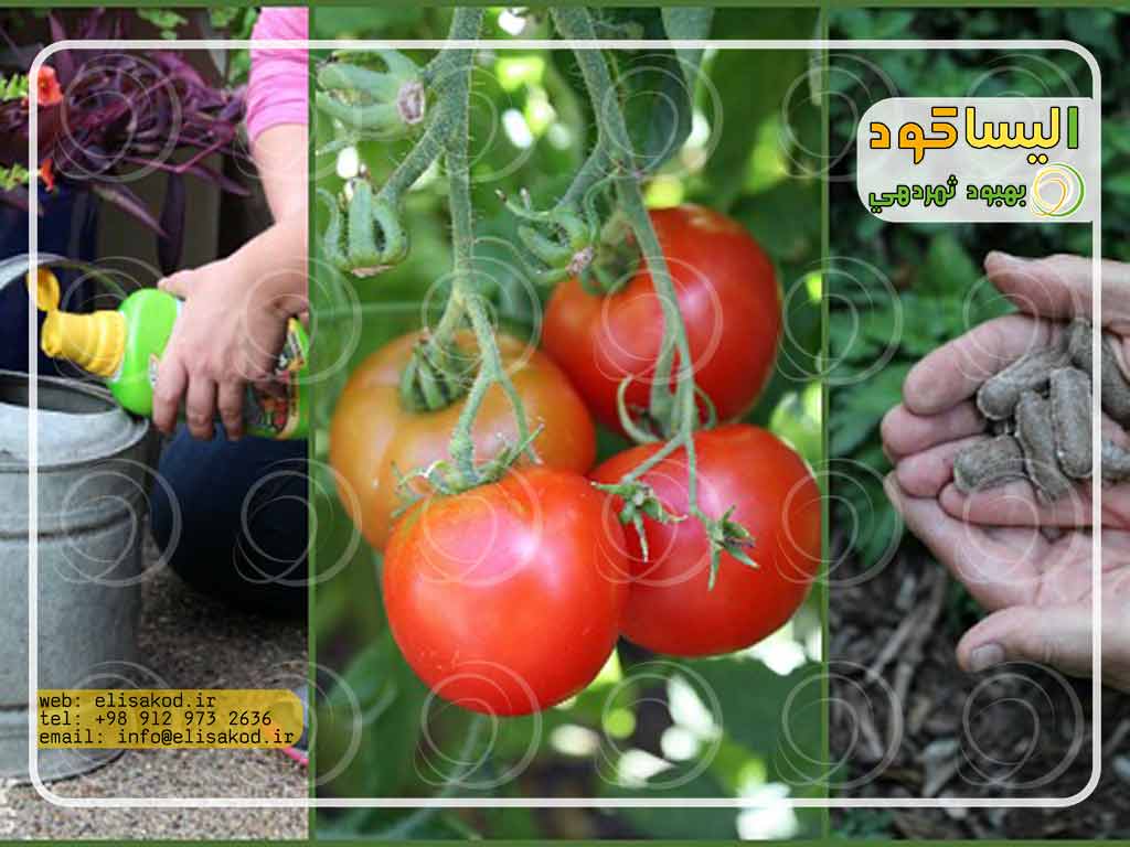 انواع کودهای ارگانیک