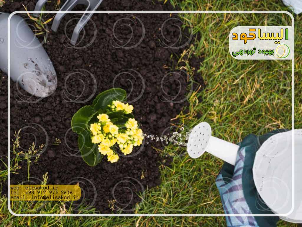 نقش ازت در کود