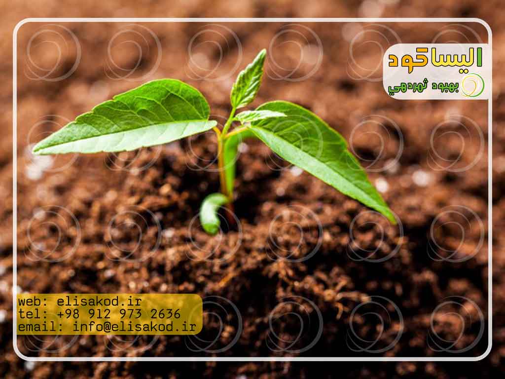 مزایای کود پسته