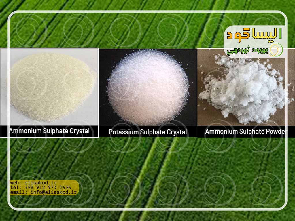فروش تضمینی سولفات آمونیوم  