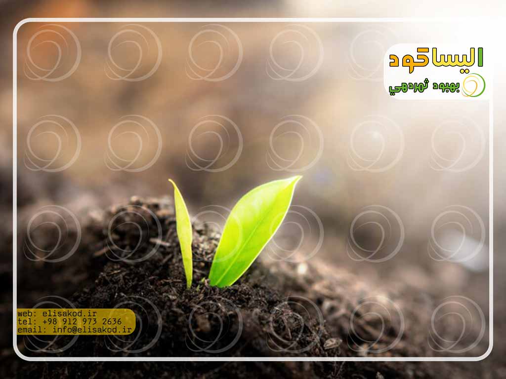 کاربرد کود آمونیوم