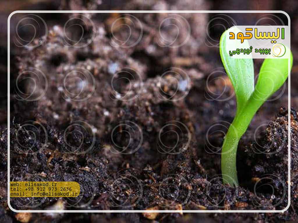 طبقه بندی کودها