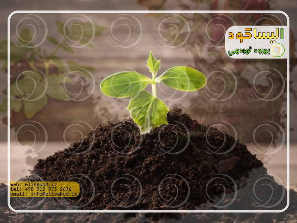 انواع کود کشاورزی ارگانیک