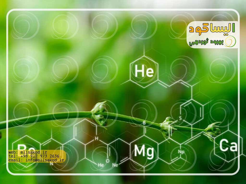خرید سولفات آمونیوم