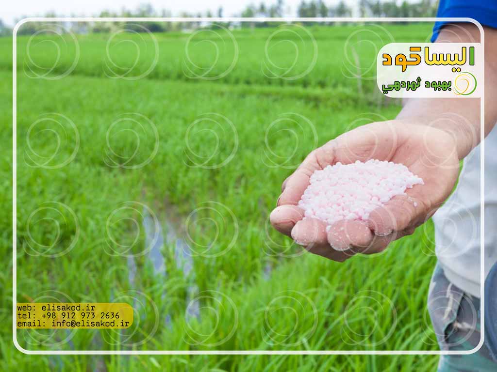 سولفات آمونیوم شیراز