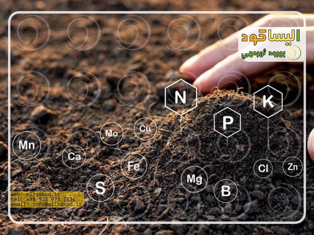 ماهیت شیمیایی کود سولفات آمونیوم