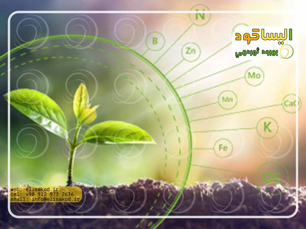 فرق کود شیمیایی و ارگانیک