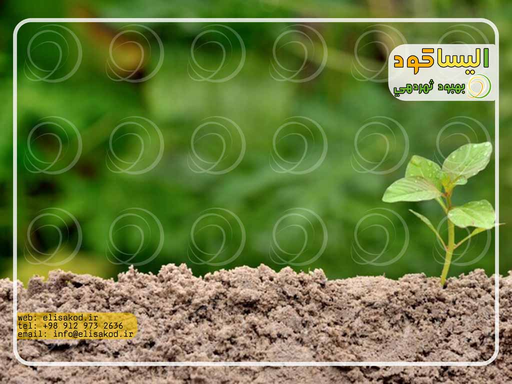 وضعیت خاک بعد از مصرف کود