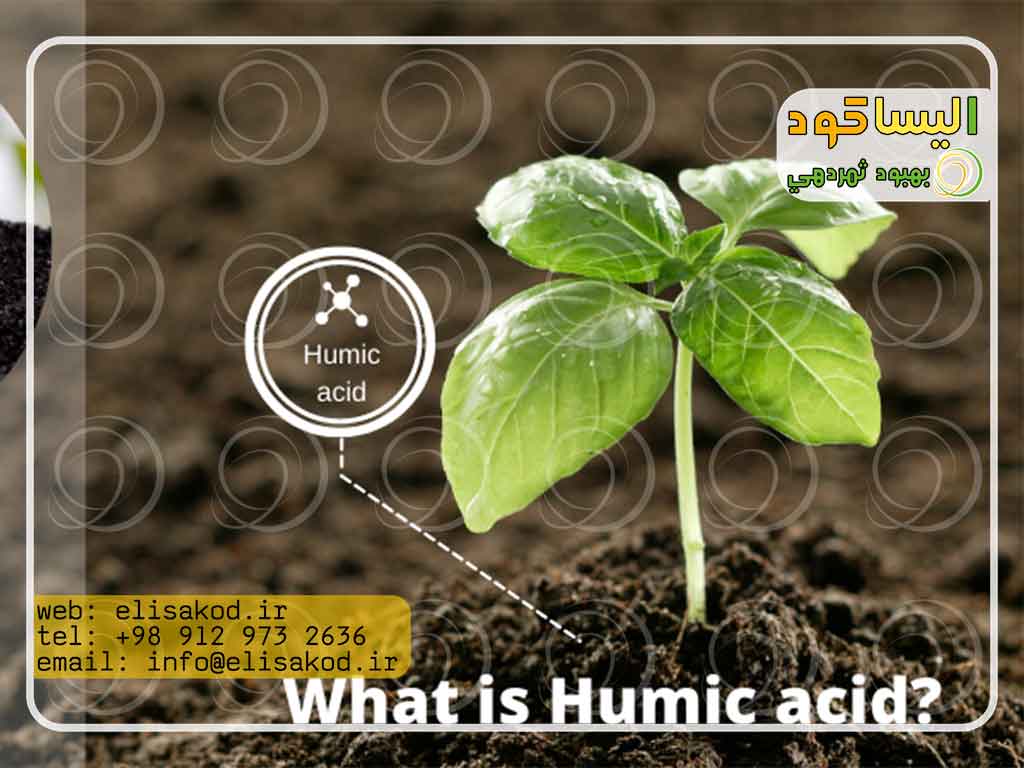 هیومیک اسید چیست و چه مزایایی دارد؟
