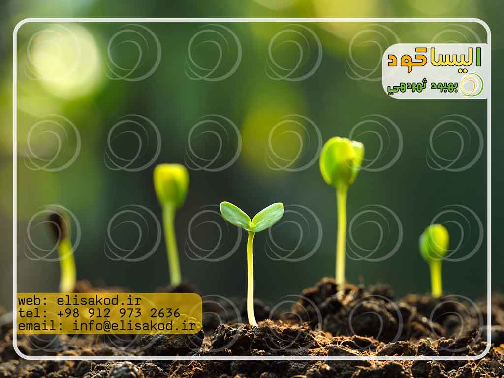 تقسیم بندی انواع اسید هیومیک