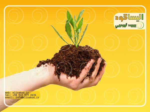 بازرگانی فروش کود و کنه کش