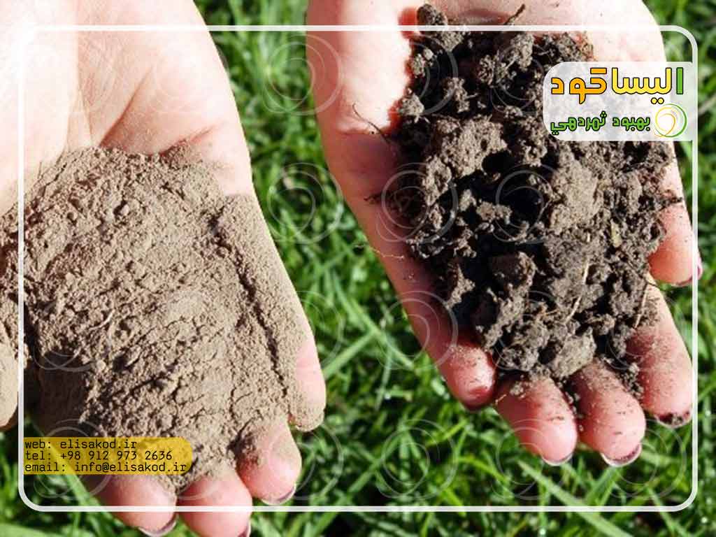 تفاوت های انواع کود میکرو