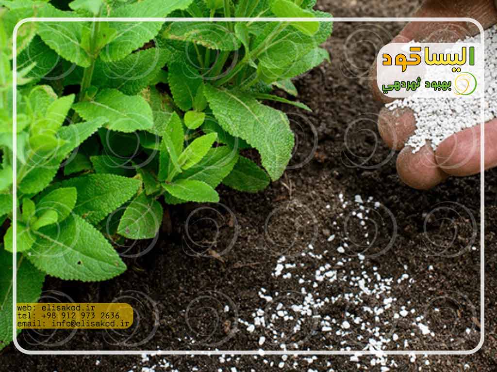 سولفات آمونیوم کشاورزی