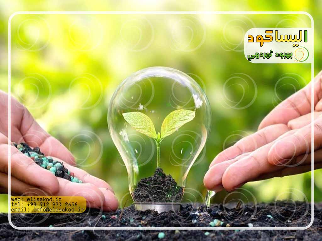 ارزش سرمایه گذاری در کود