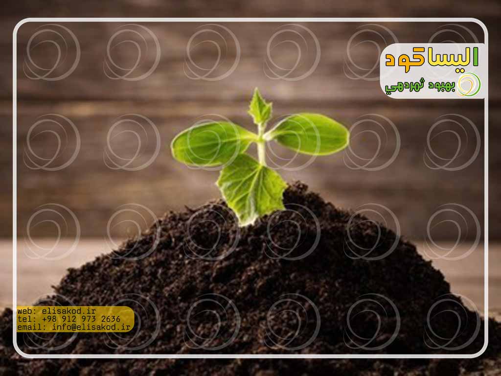 مقدار مصرف کود ارگانیک