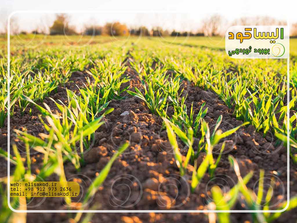 مزایای استفاده از کود