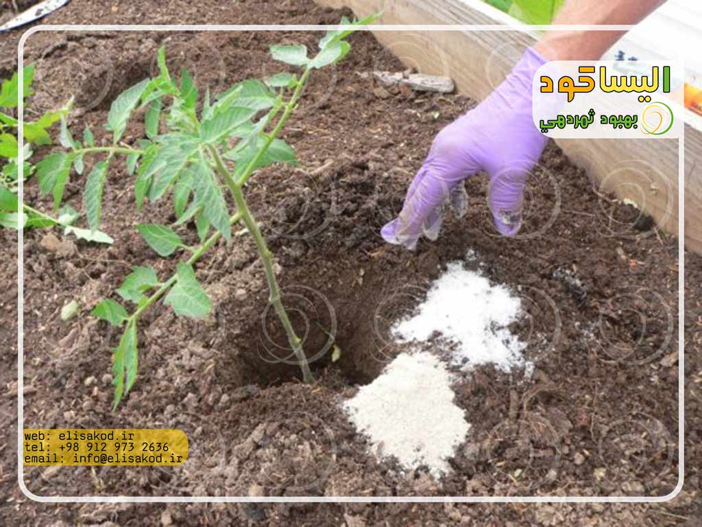 سولفات آمونیوم کشاورزی