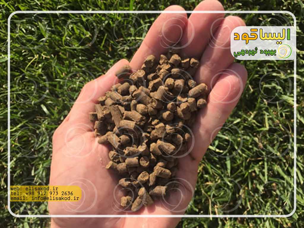 پلیت مرغی طی چه فرآیندی تهیه میشود؟