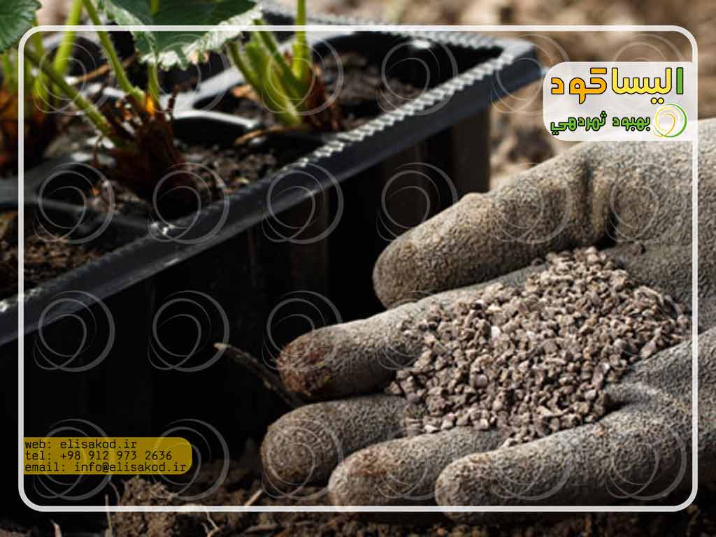 خصوصیات بارز کود مرغی باکیفیت