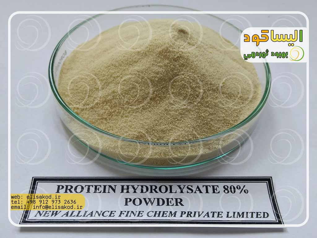 پروتئین هیدرولیزات چیست؟
