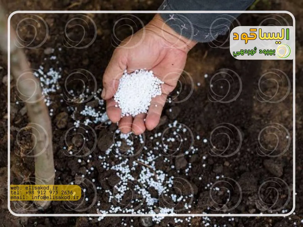 فرایند تولید سولفات آمونیوم