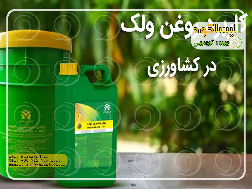 مصرف روغن ولک مرغوب