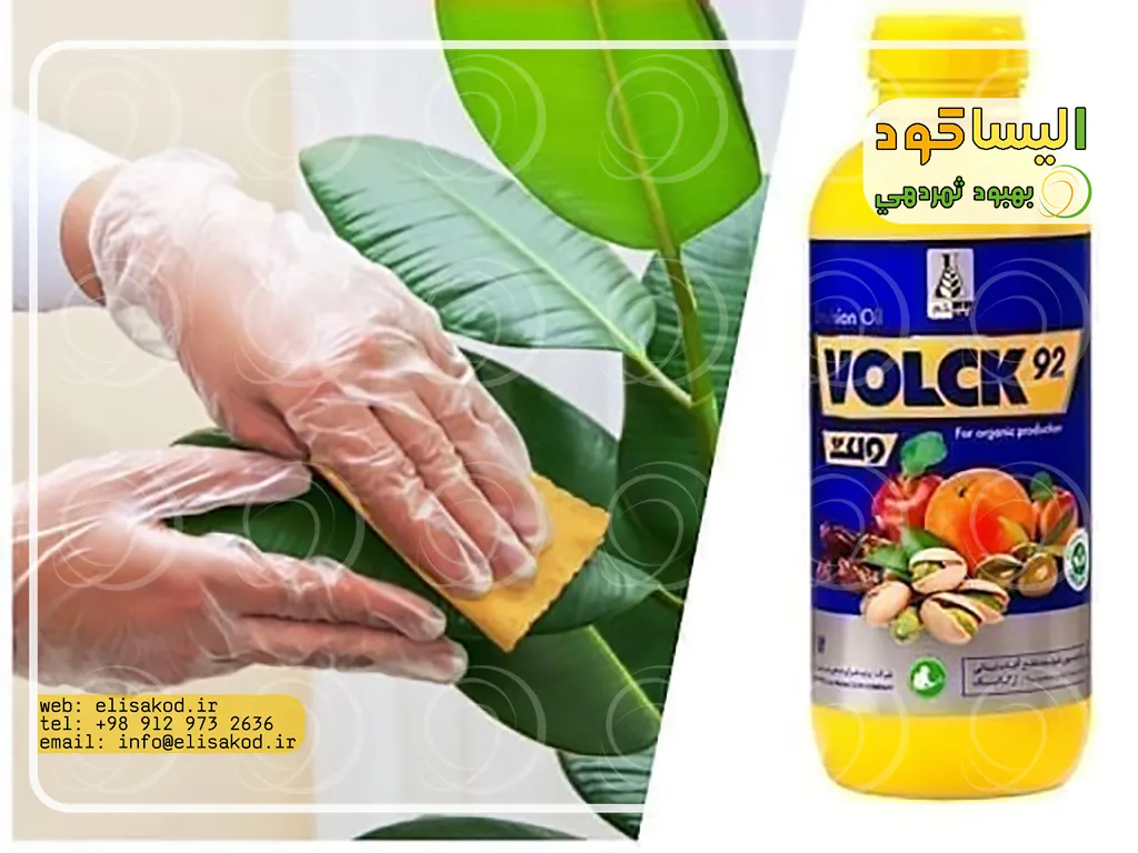 ویژگی های فیزیکی و شیمیایی روغن ولک