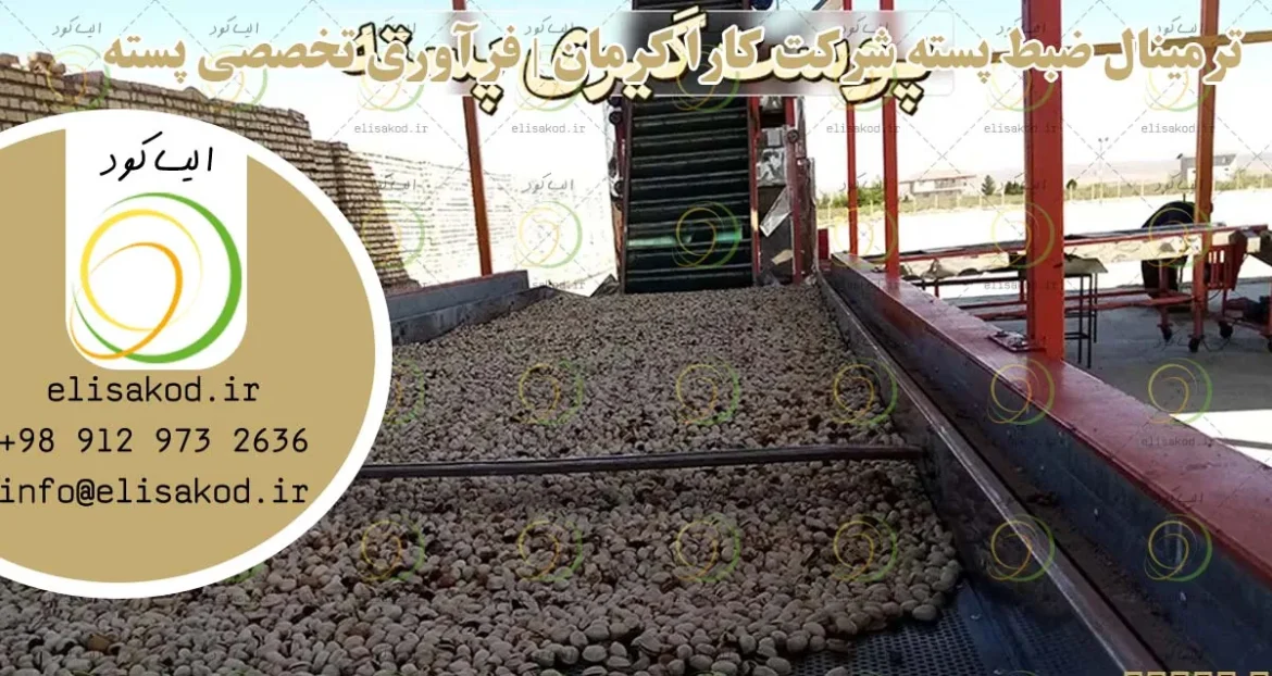 ترمینال ضبط پسته شرکت کارا کرمان | فرآوری تخصصی پسته