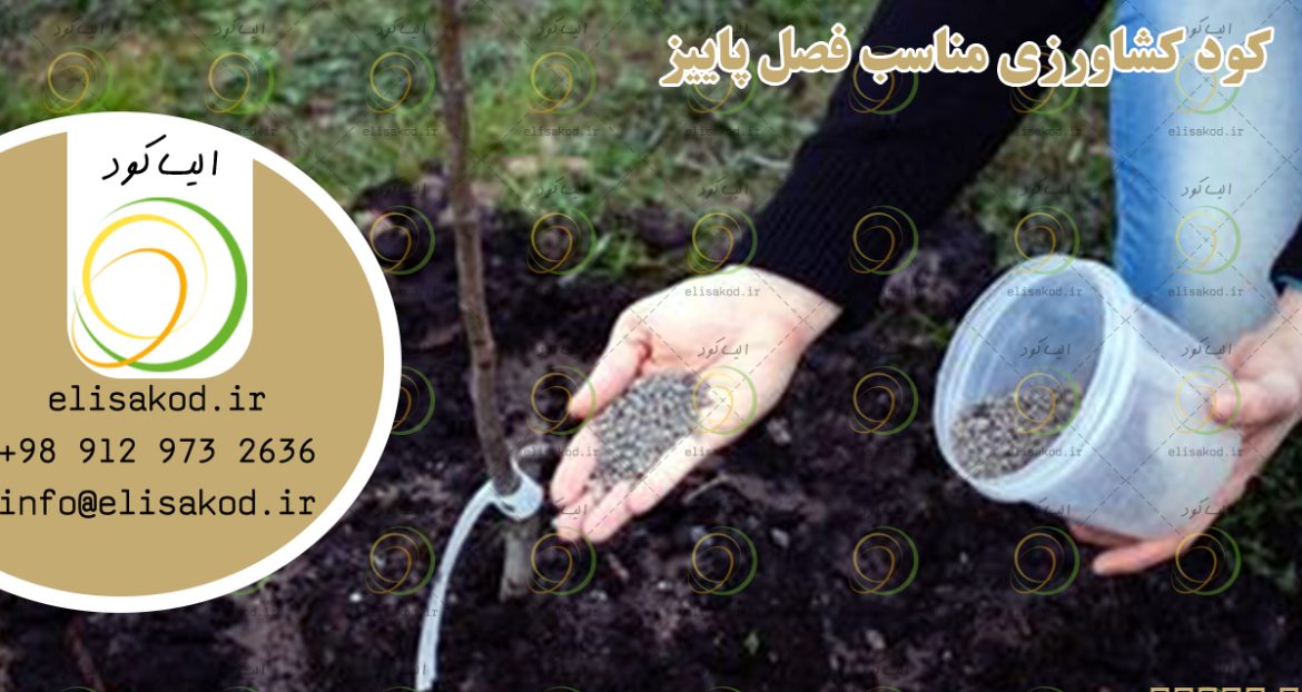کود کشاورزی مناسب فصل پاییز | راهنمای کامل کوددهی پاییزه